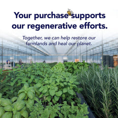 Graphic illustrating blue light protection for eyes