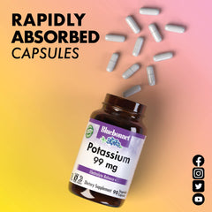 Non-GMO vegan kosher gluten-free dairy-free claims on packaging