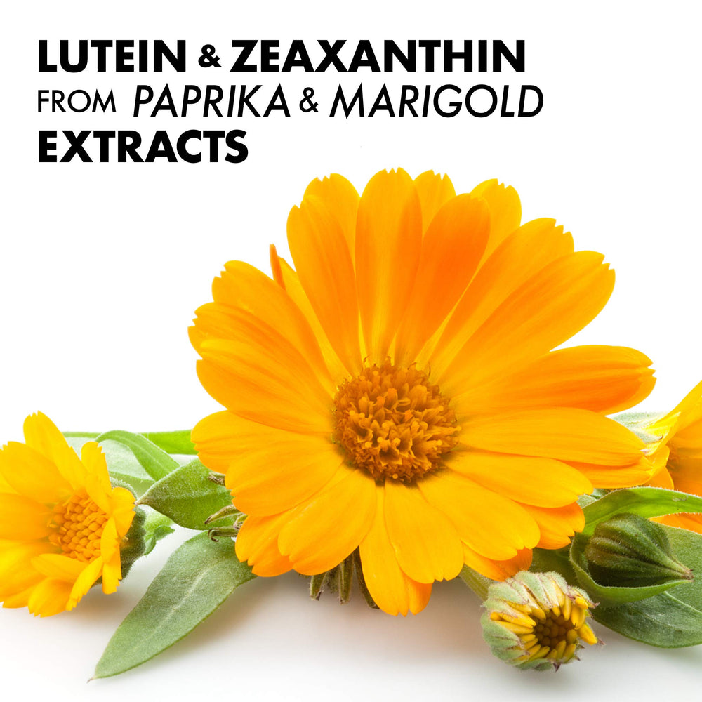 Paprika and marigold flower extracts illustration for lutein and zeaxanthin