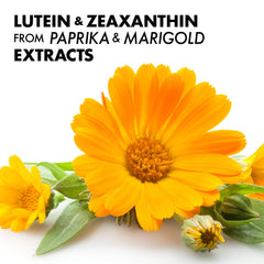 Paprika and marigold flower extracts illustration for lutein and zeaxanthin