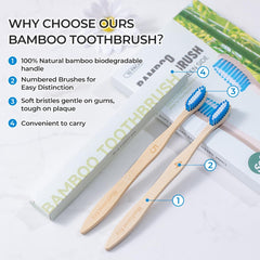 Numbered toothbrush handles designed for sharing