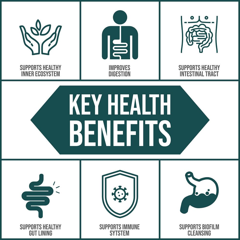 Graphic showing EcoOxyZyme supporting digestive system
