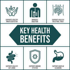 Graphic showing EcoOxyZyme supporting digestive system