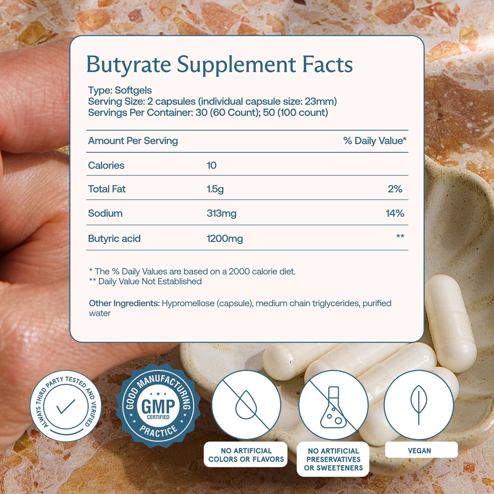 Illustration of gut health and digestive support with Butyrate