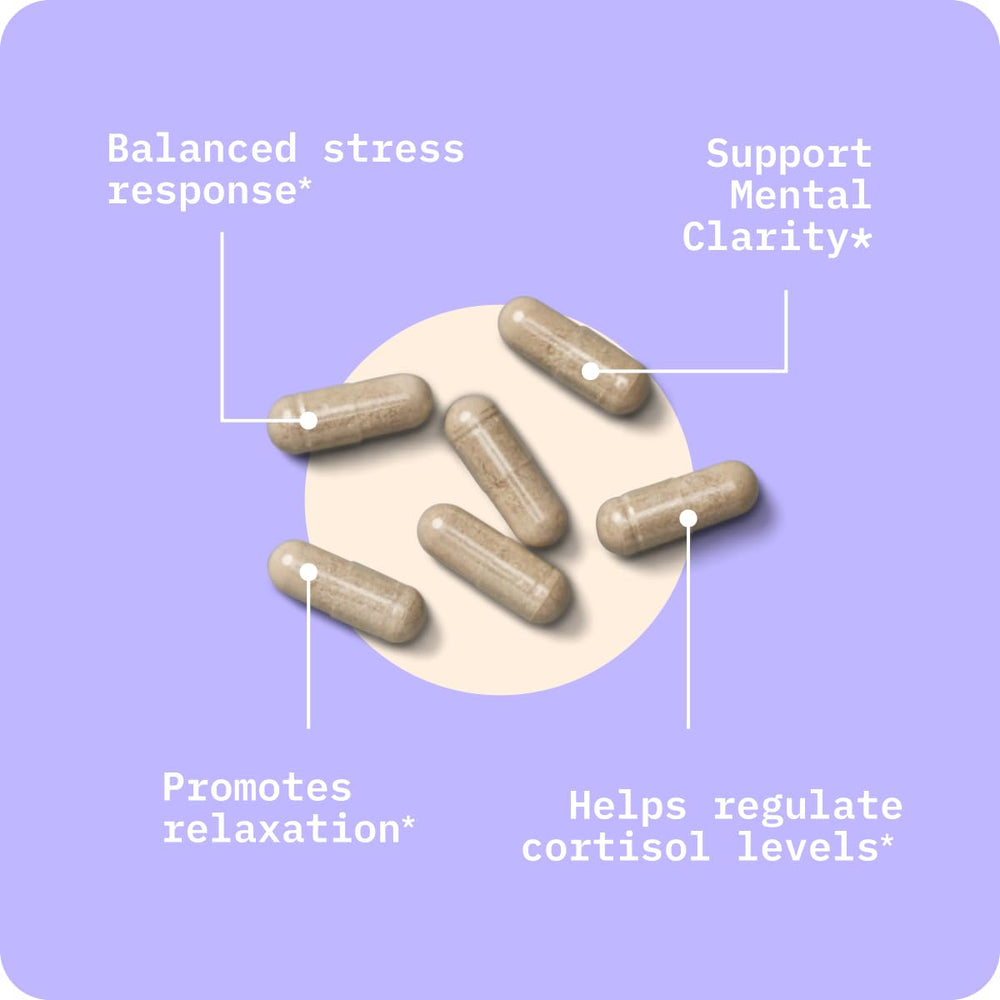 Mood and focus illustration for BodyBio Calm