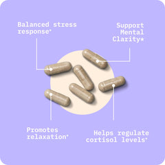 Mood and focus illustration for BodyBio Calm