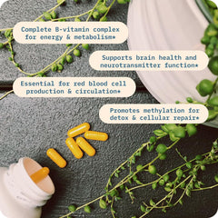 90 capsules bottle of BodyBio Vitamin B+ Complex