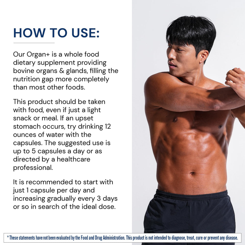 Beef kidney glandular used in the organ complex