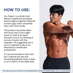 Beef kidney glandular used in the organ complex