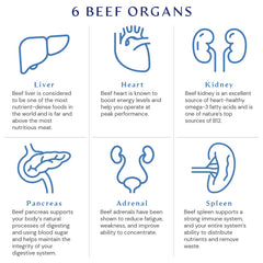 Front packaging of BodyHealth Organ+ Glandular Complex showing bottle and label