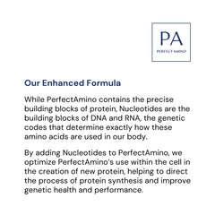 BodyHealth PerfectAmino no sugar badge indicates fasting-friendly use.