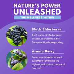 Vegan, Non-GMO, Gluten-Free Bold Botanica Elderberry Elixir packaging