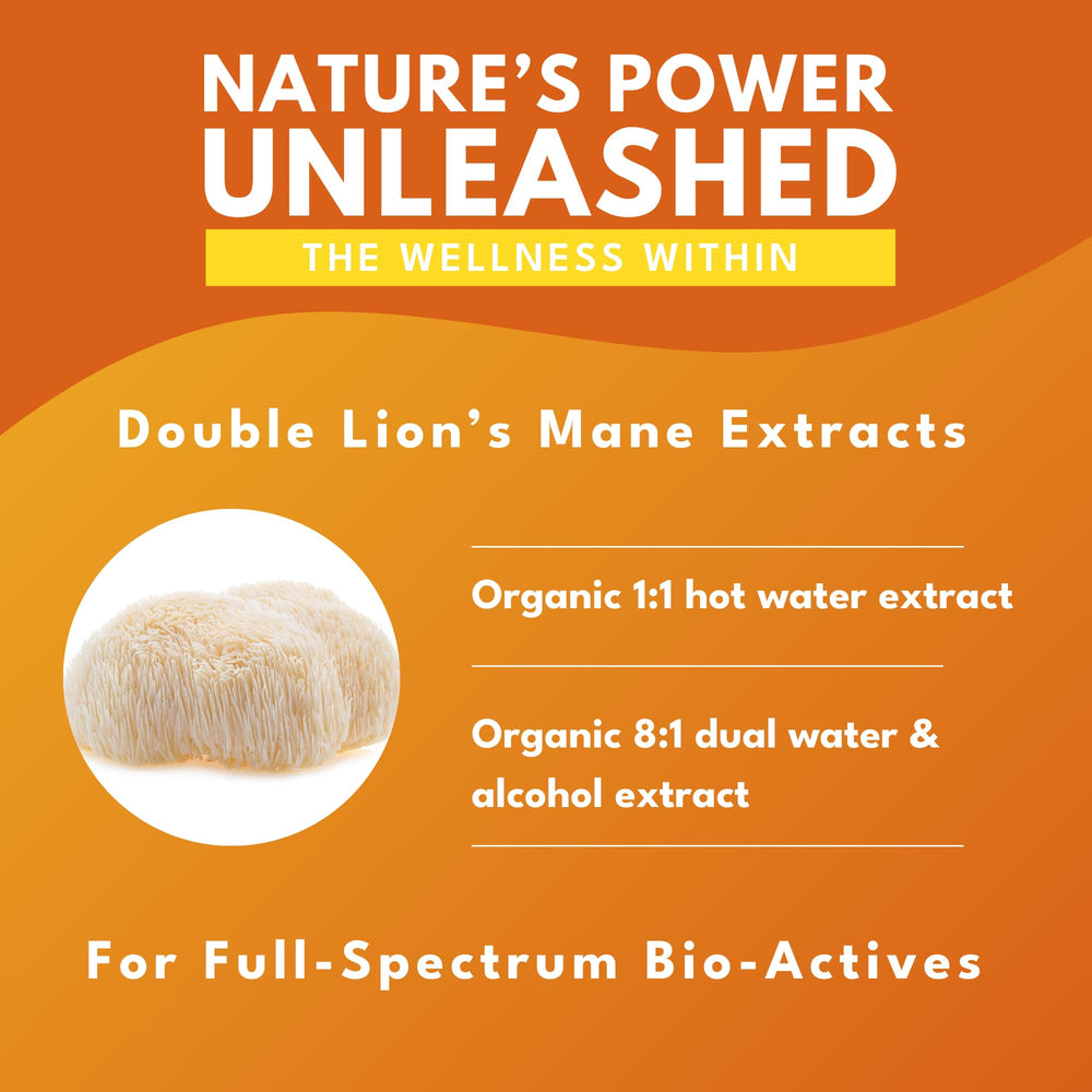 Organic, vegan, non-GMO, gluten-free Lion’s Mane supplement ingredients highlight