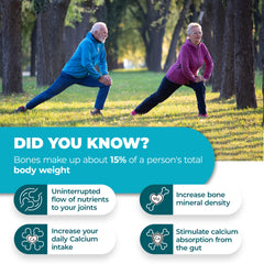 Illustration of strong bones and joints