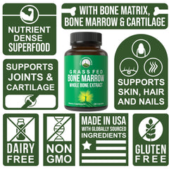 Bones and cartilage nutrition highlighting bone matrix and marrow