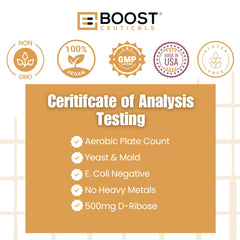 BoostCeuticals D-Ribose serving close-up showing 500mg per capsule.
