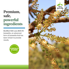Supplement facts panel from BosMed 500 packaging