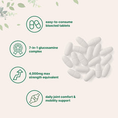 Close-up illustration of boswellia, hyaluronic acid and collagen ingredients.