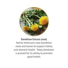 Herbal supplement packaging of Botanic Choice Dandelion Root