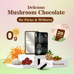 Box featuring functional mushroom chocolate bars and mushroom imagery
