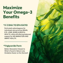 Brain health concept with omega-3 gummies
