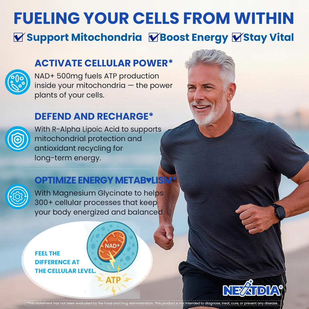 Wasabia japonica rhizome for brain energy support