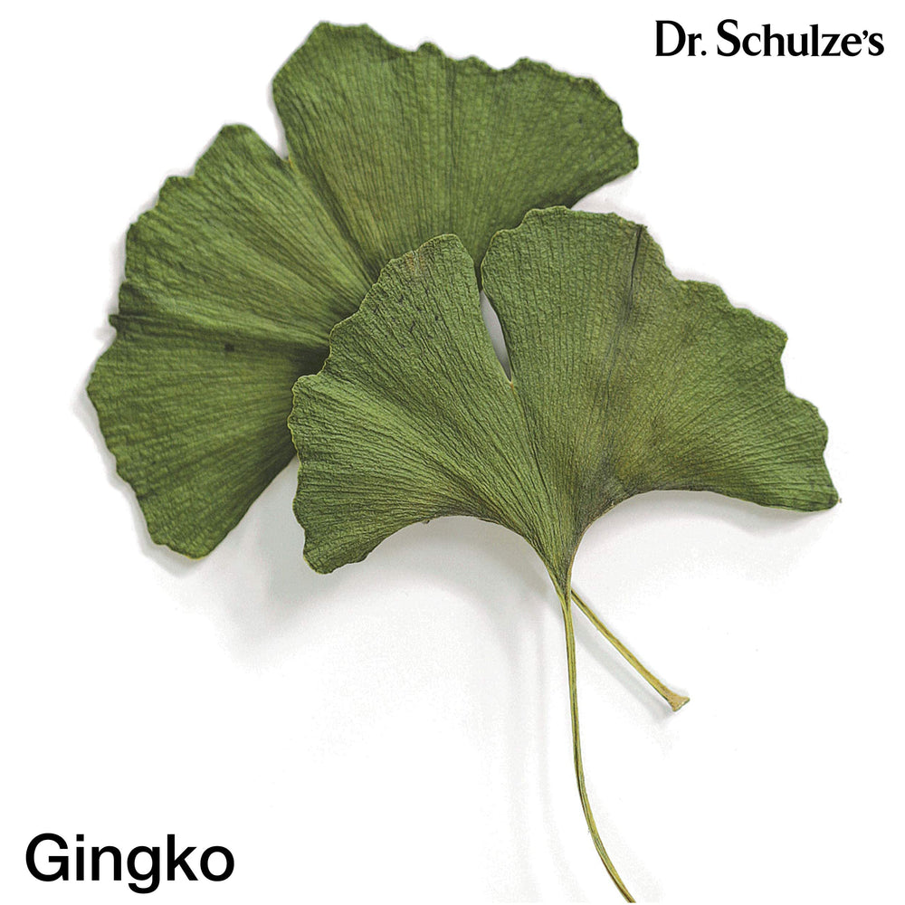 Ginkgo Biloba boosts blood and oxygen to the brain