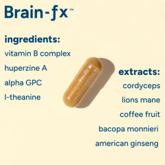 Ingredients imagery showing Alpha GPC, Lion's Mane, Cordyceps, Bacopa