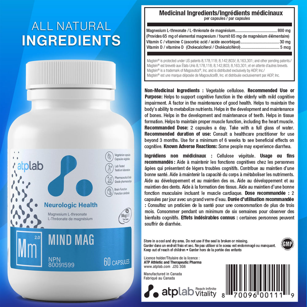 Brain health and cognitive function concept