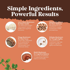 Brain health nootropic mushroom capsules arranged for display