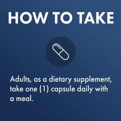 Brain health and sleep support illustration