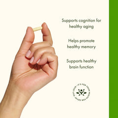 Brain health support with Swanson Luteolin Complex