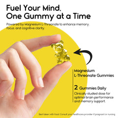 Graphic showing brain support, memory and focus benefits.