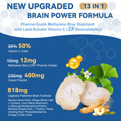Brain support matrix ingredients including Bacopa, Ginkgo and Lion's Mane