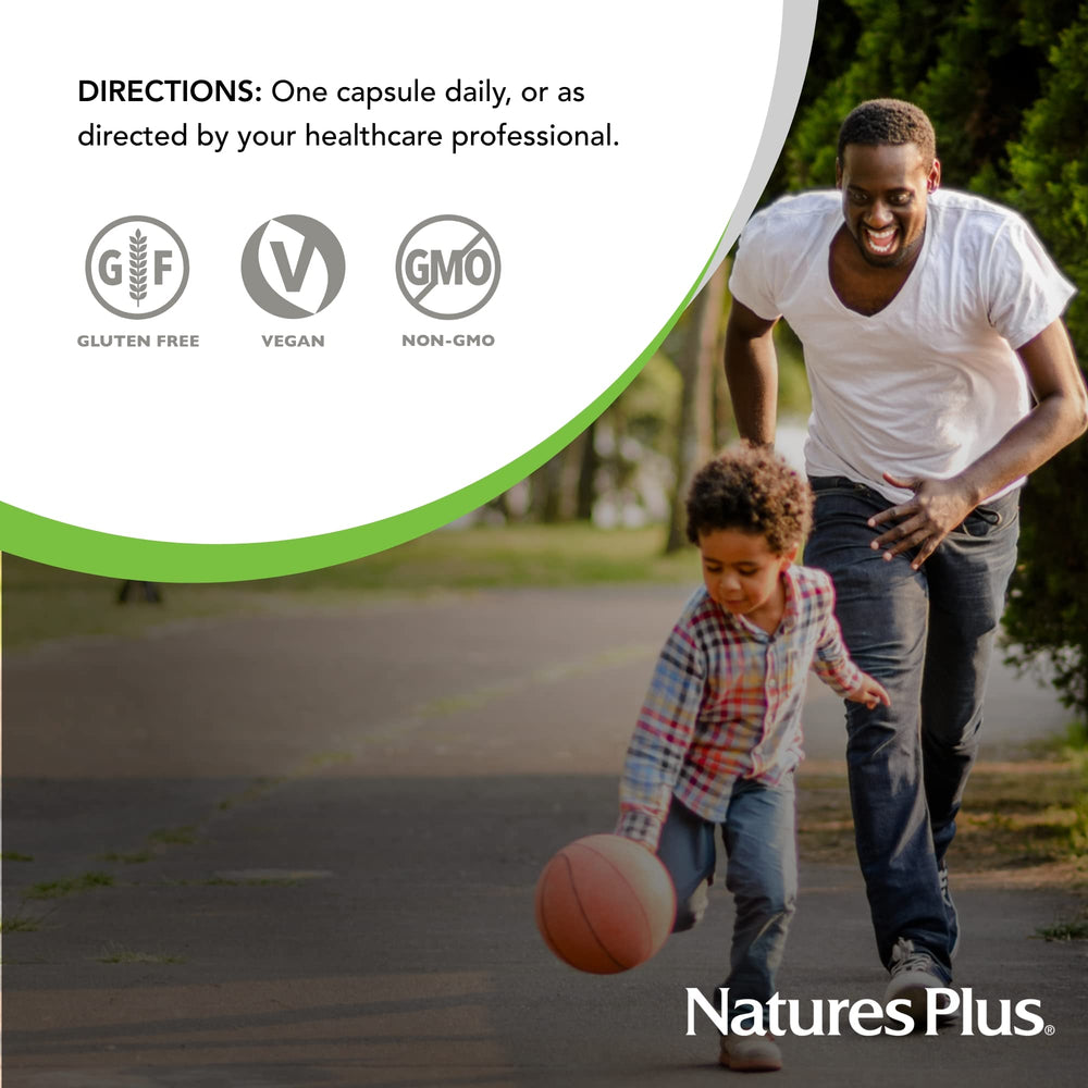 Graphic showing PQQ ingredients and nutrition information