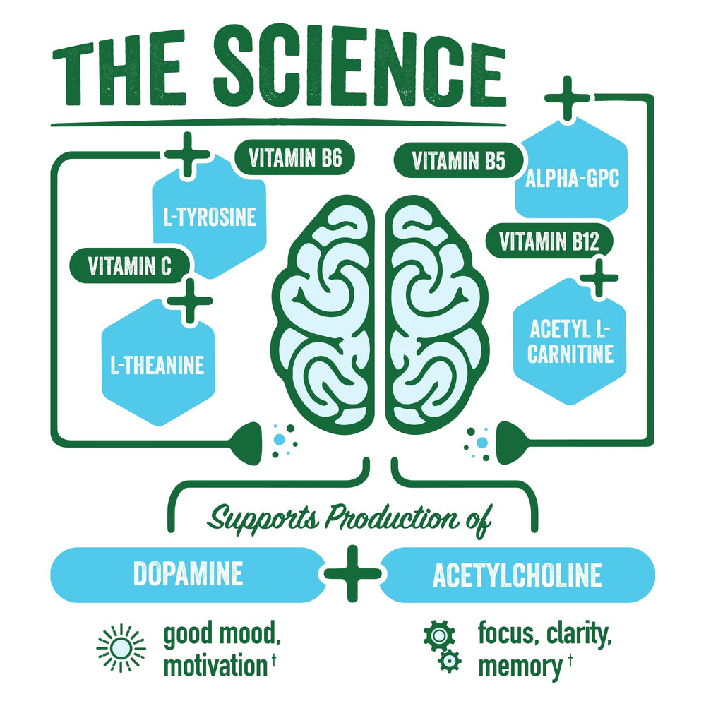 BrainJuice alpha-gpc close-up highlights key brain-support ingredient.
