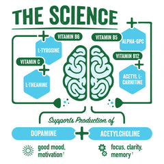 BrainJuice alpha-gpc close-up highlights key brain-support ingredient.
