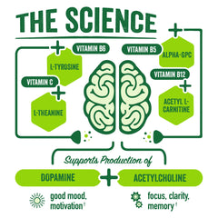 BrainJuice ingredient Alpha-GPC and L-Theanine highlight for focus and calm