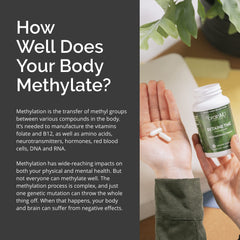 Mood and methyl support imagery associated with BrainMD Betaine TMG