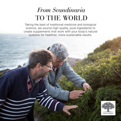 New Nordic brand story image