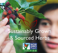 Ingredients overview: honeysuckle stem, schisandra berry, bamboo leaf
