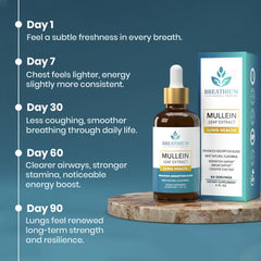 Eco-friendly packaging and sustainability emphasis