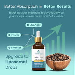 Sunflower lecithin and choline components in Breathium formula