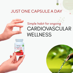 Healthy blood circulation concept with vessels