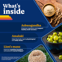 BRIGHTFULL Focus 21-day supply box