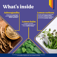 Adult-friendly nightly routine featuring BRIGHTFULL sleep supplement