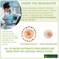 Manufacturing facility with cGMP and NSF certification