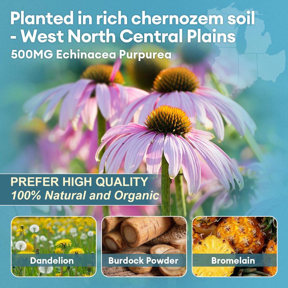 Graphic of bromelain with vitamin C, zinc, and selenium