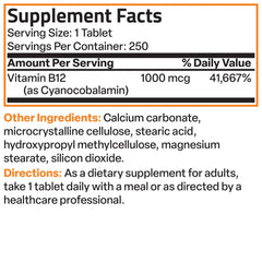 Illustration showing brain function and nervous system support