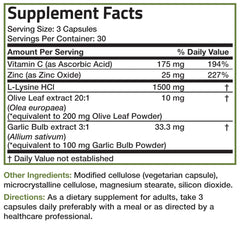 Infographic highlighting immune support ingredients in the formula